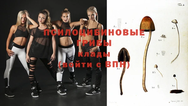 соль ск Елабуга
