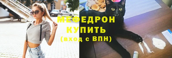 крисы Ельня