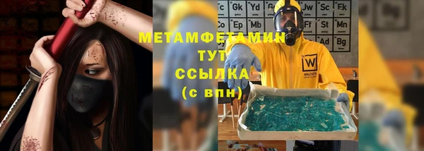 крисы Ельня