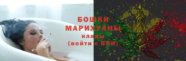 стаф Дмитровск