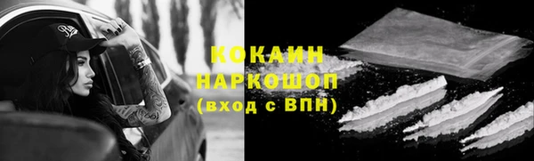 крисы Ельня