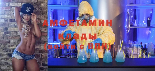 амф Дмитриев