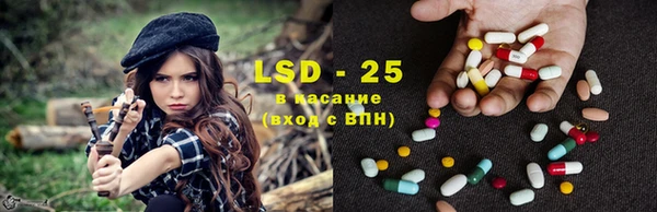 крисы Ельня