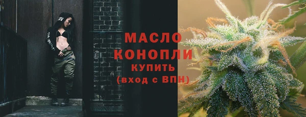 крисы Ельня