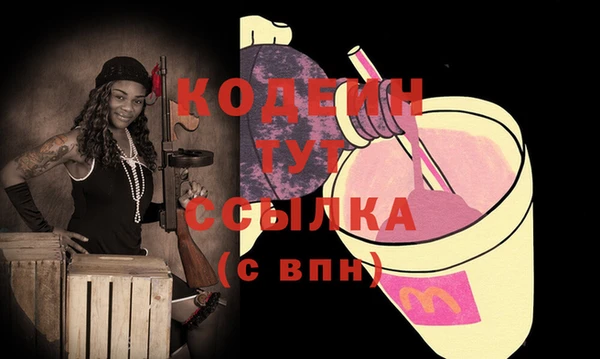 крисы Ельня