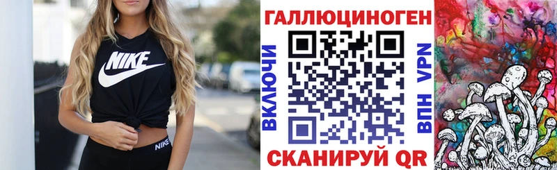 Купить  Емва  Псилоцибиновые грибы Cubensis 